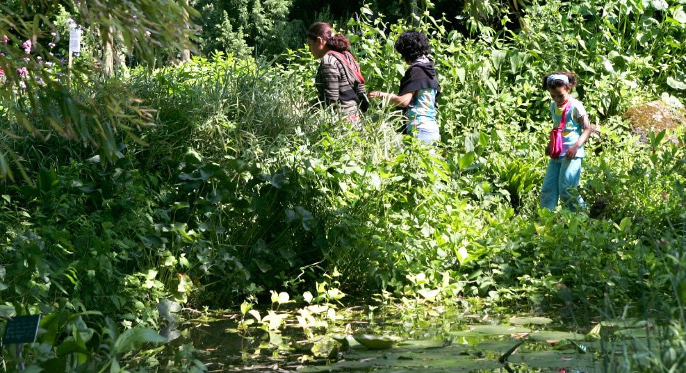 Jardin Botanique de la Charme, , France